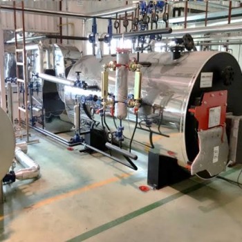 Endüstriyel Buhar Kazanı Bakım ve Onarım Hizmetleri